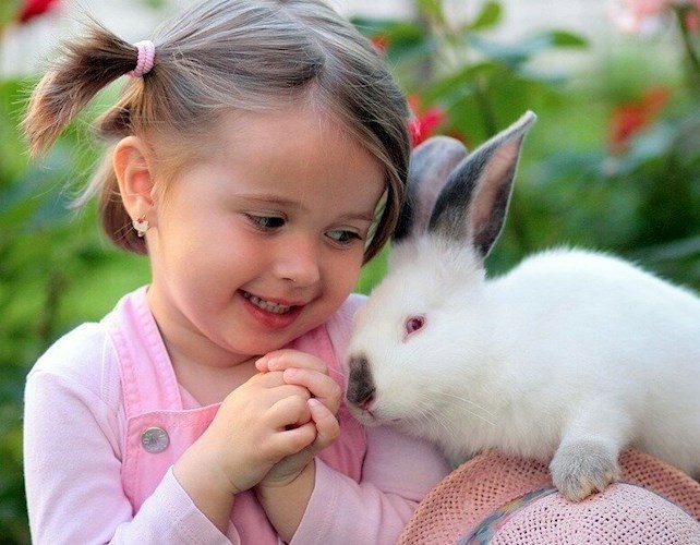 Контактный