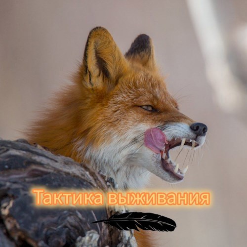Тактика выживания