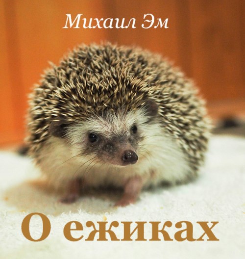 О ежиках