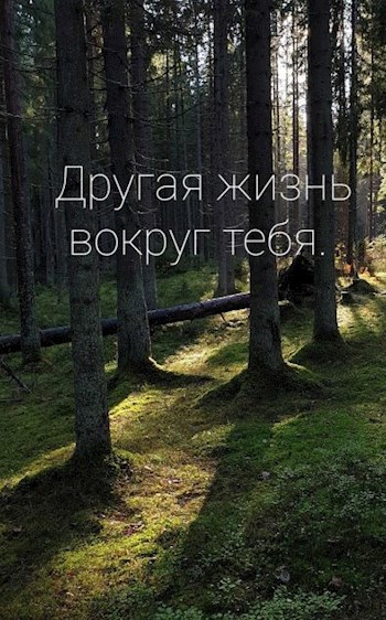 Другая жизнь вокруг тебя
