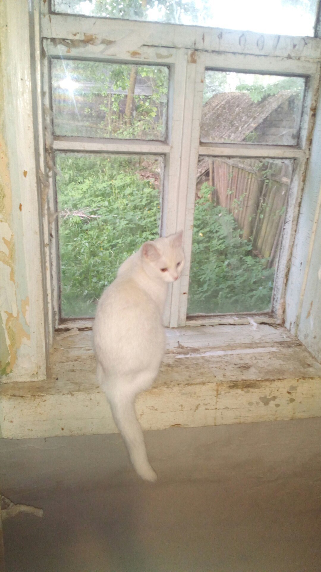 Перламутровая сказка часть 7