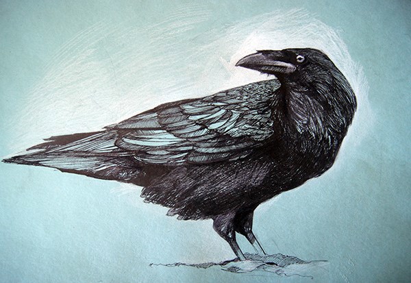 Вороны Одина