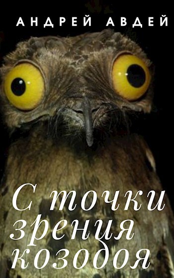 С точки зрения козодоя