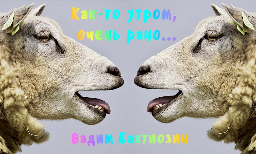 Как-то утром, очень рано...