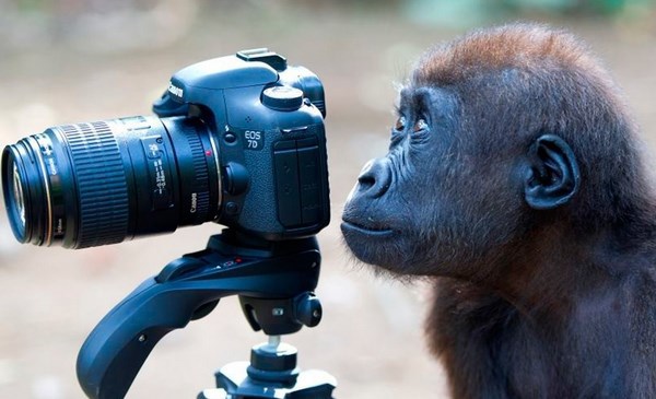 Фотограф