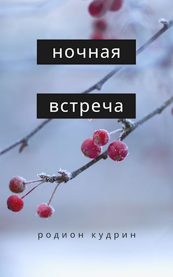 Ночная встреча