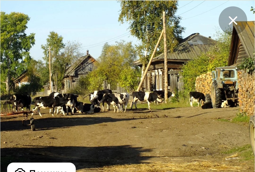 Душа России