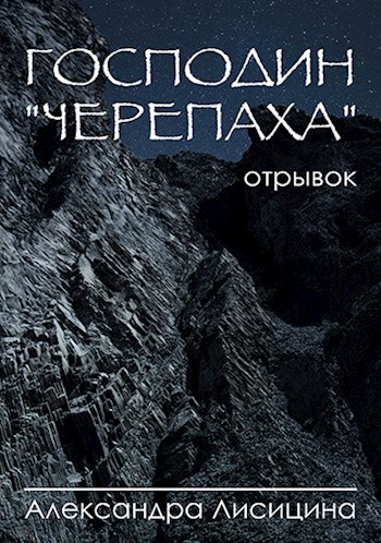 Господин "Черепаха" (отрывок из романа)