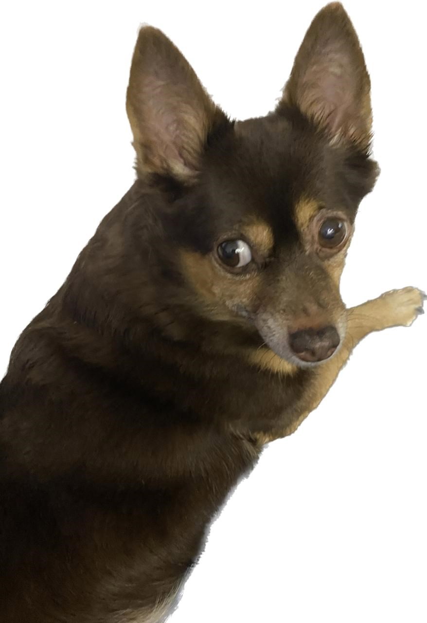 Мася лучше знает...