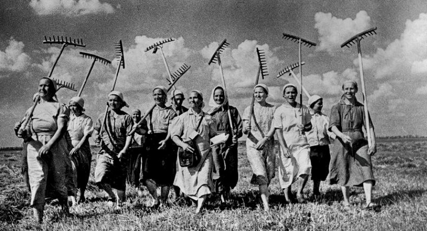 Пиррова победа, часть первая