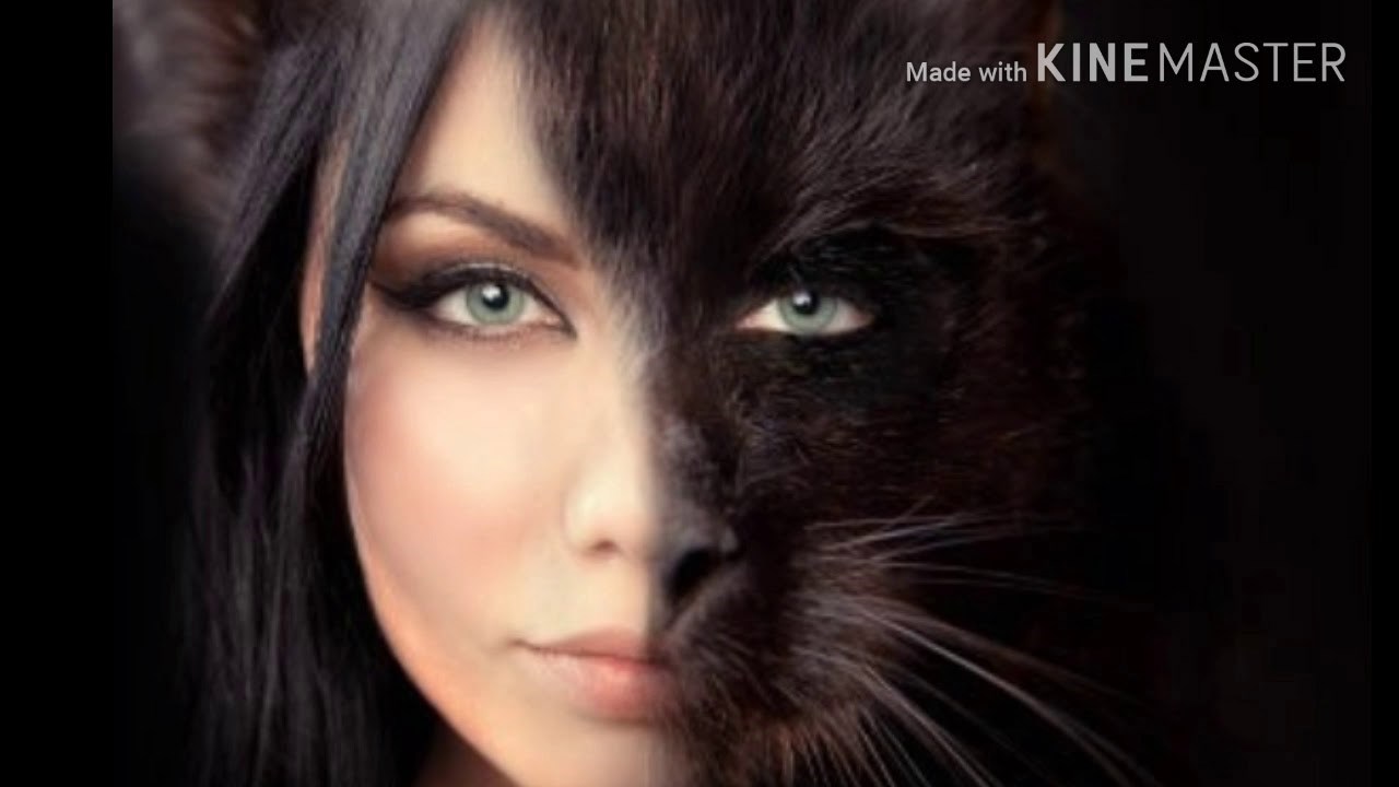 Двери всегда закрытые настежь 2 ангелы хранители