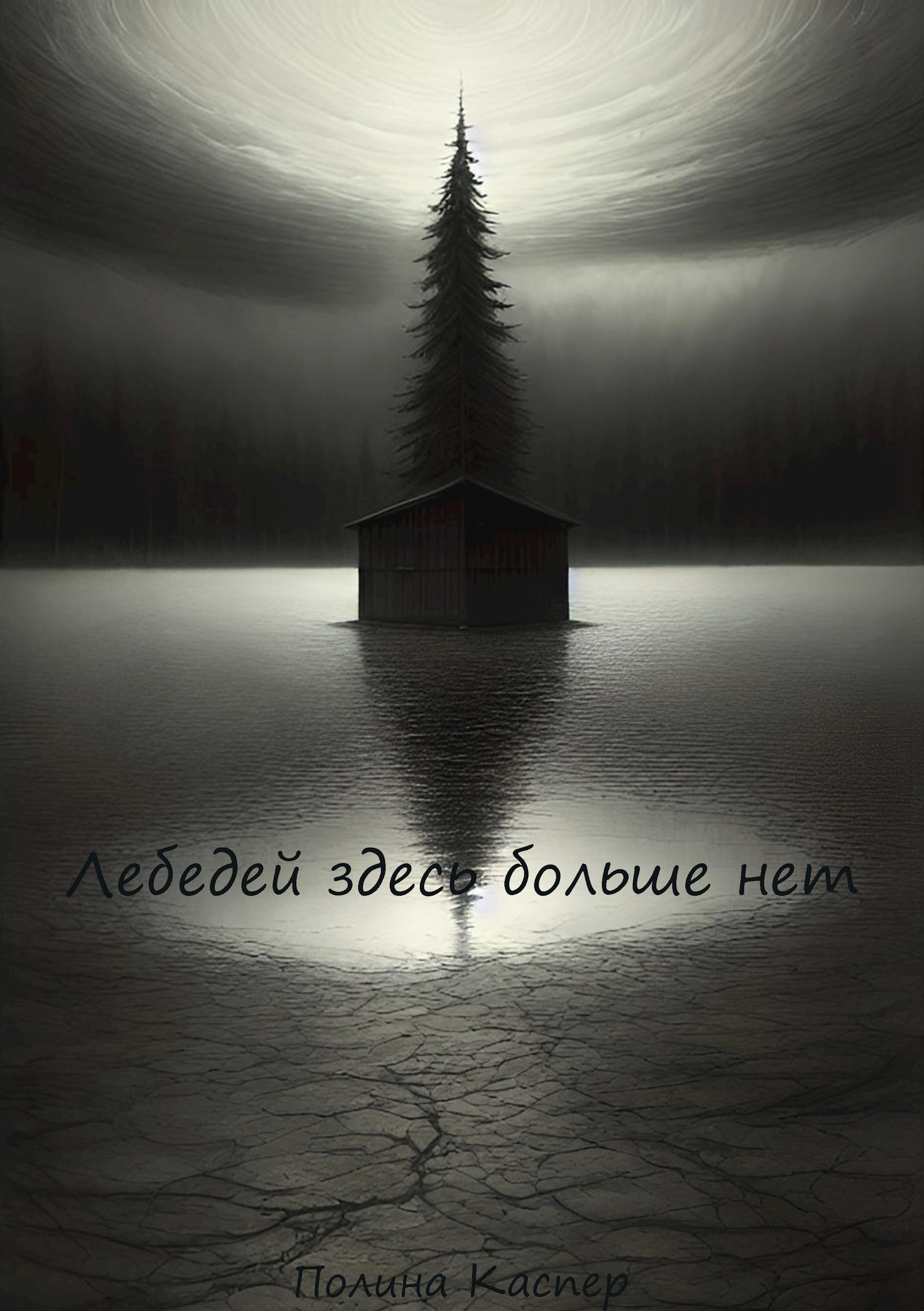 Лебедей здесь больше нет