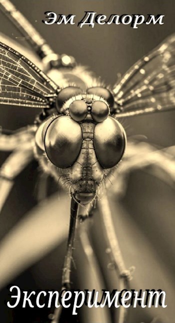 Эксперимент