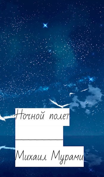 Ночной полет