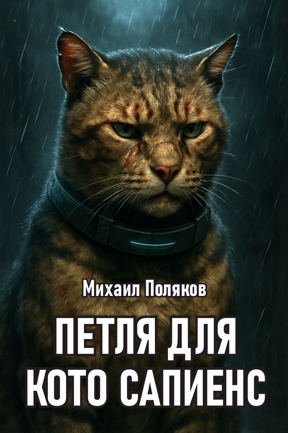 Петля для Кото Сапиенс