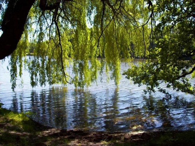 Глоток воды луч света