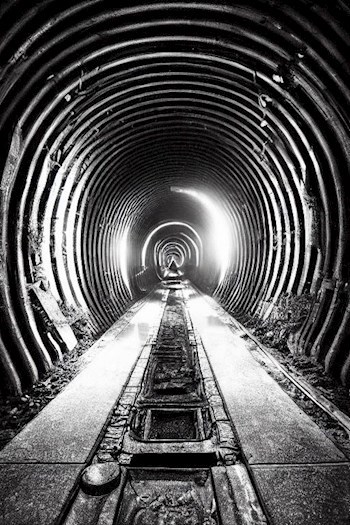 Путешествие в горло унитаза