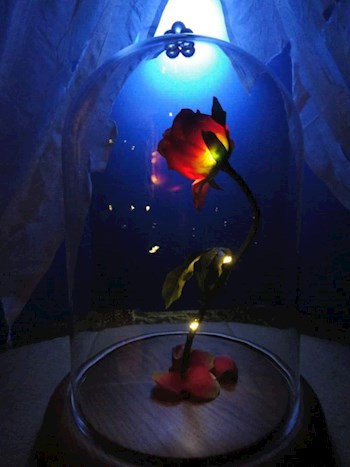 Красавицы и чудовище