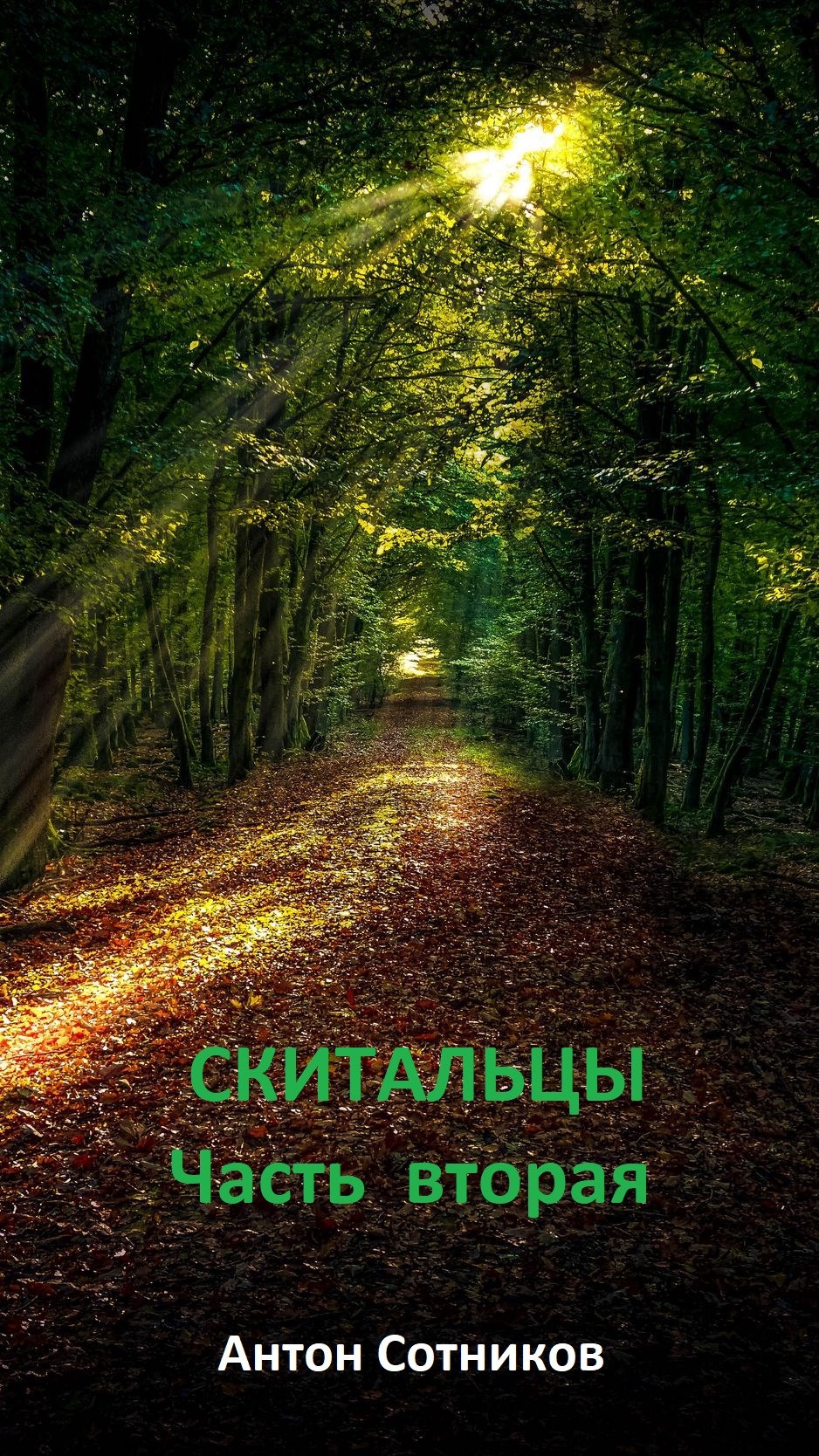 Скитальцы. Часть вторая.