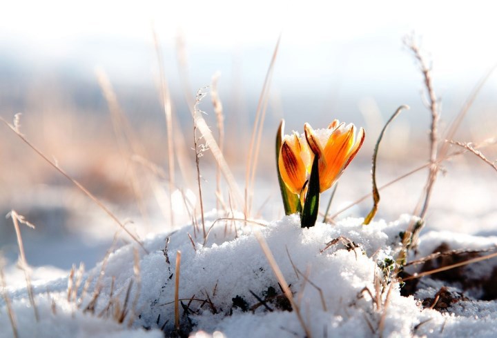 День рождения