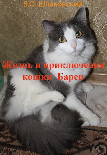 Жизнь и приключения кошки Барси