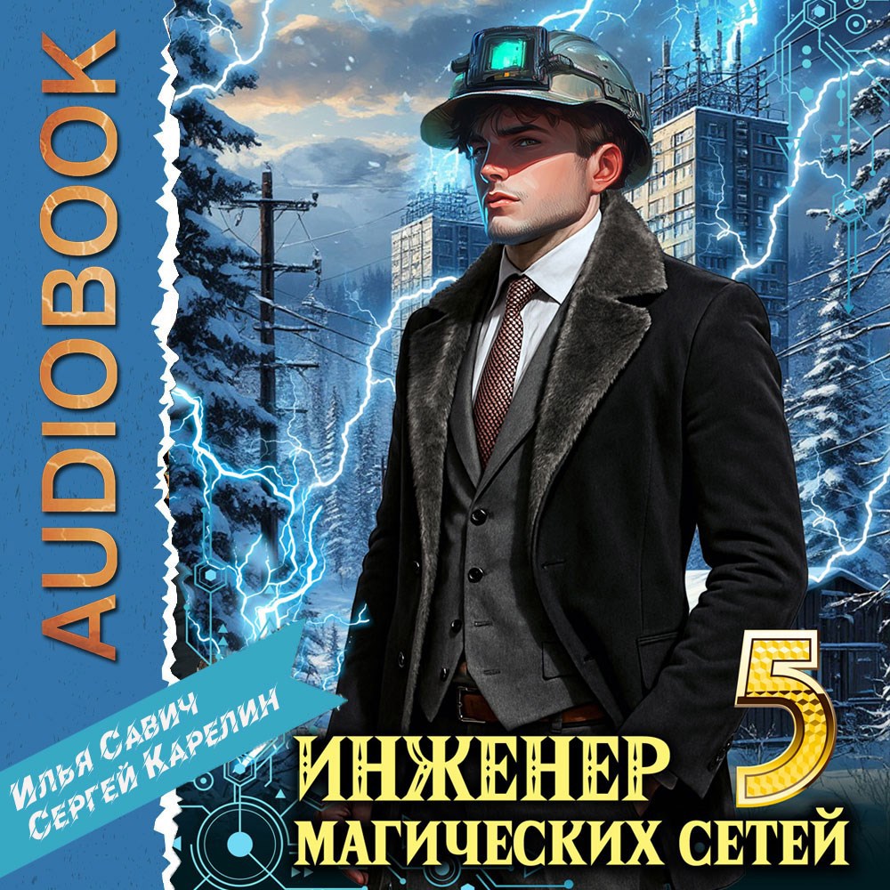 Инженер магических сетей Аудио Книга 5