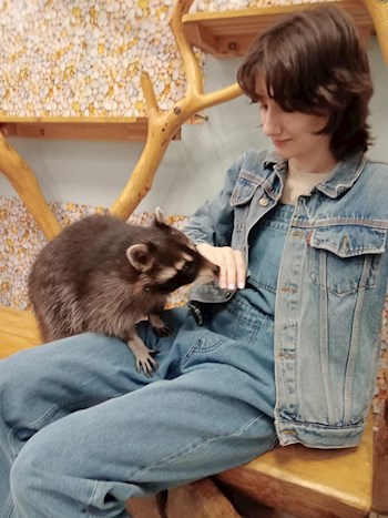 Маринетт Мортем и еноты