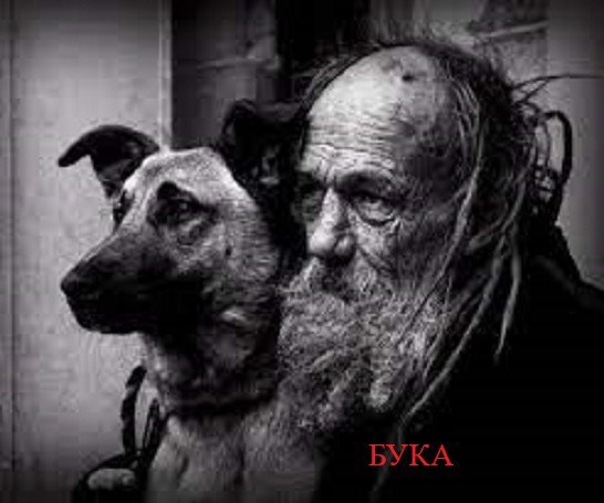 Бука