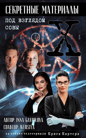 Секретные материалы. Под взглядом совы