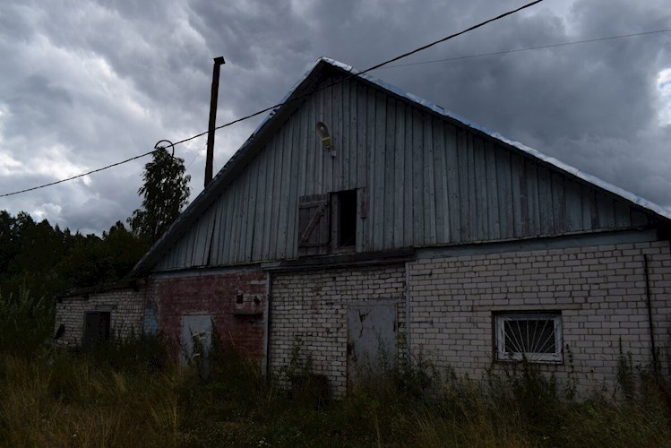 Пятизвёздочный свинарник