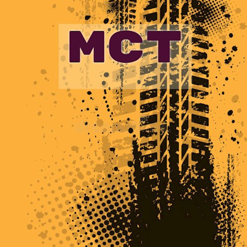 Марсианин на Сибирском тракте