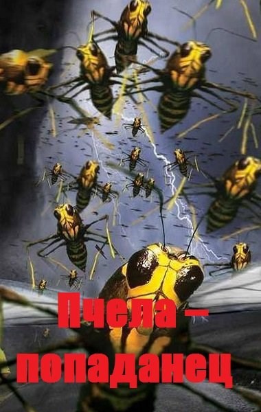 Пчела попаданец