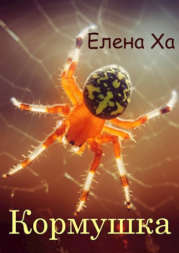 Кормушка