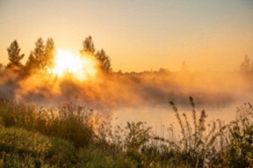 Рыбалка