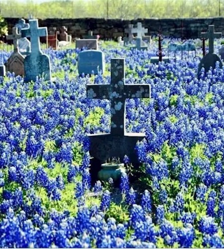 Кладбищенская история