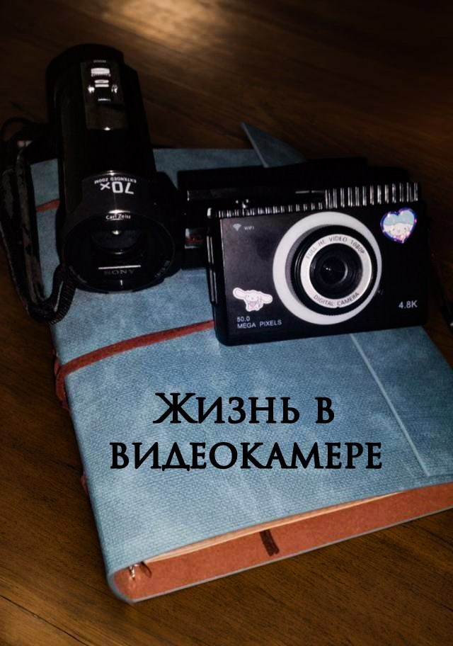 Жизнь в видеокамере