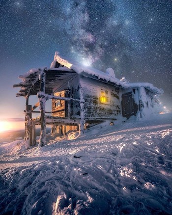 Птичий остров