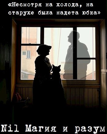 «Несмотря на холода, на старухе была надета юбка».
