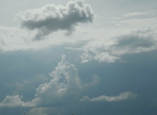 &#171;Бешеный пес&#187;, &#171;Добрый Иисус&#187; или секрет Феи Морганы