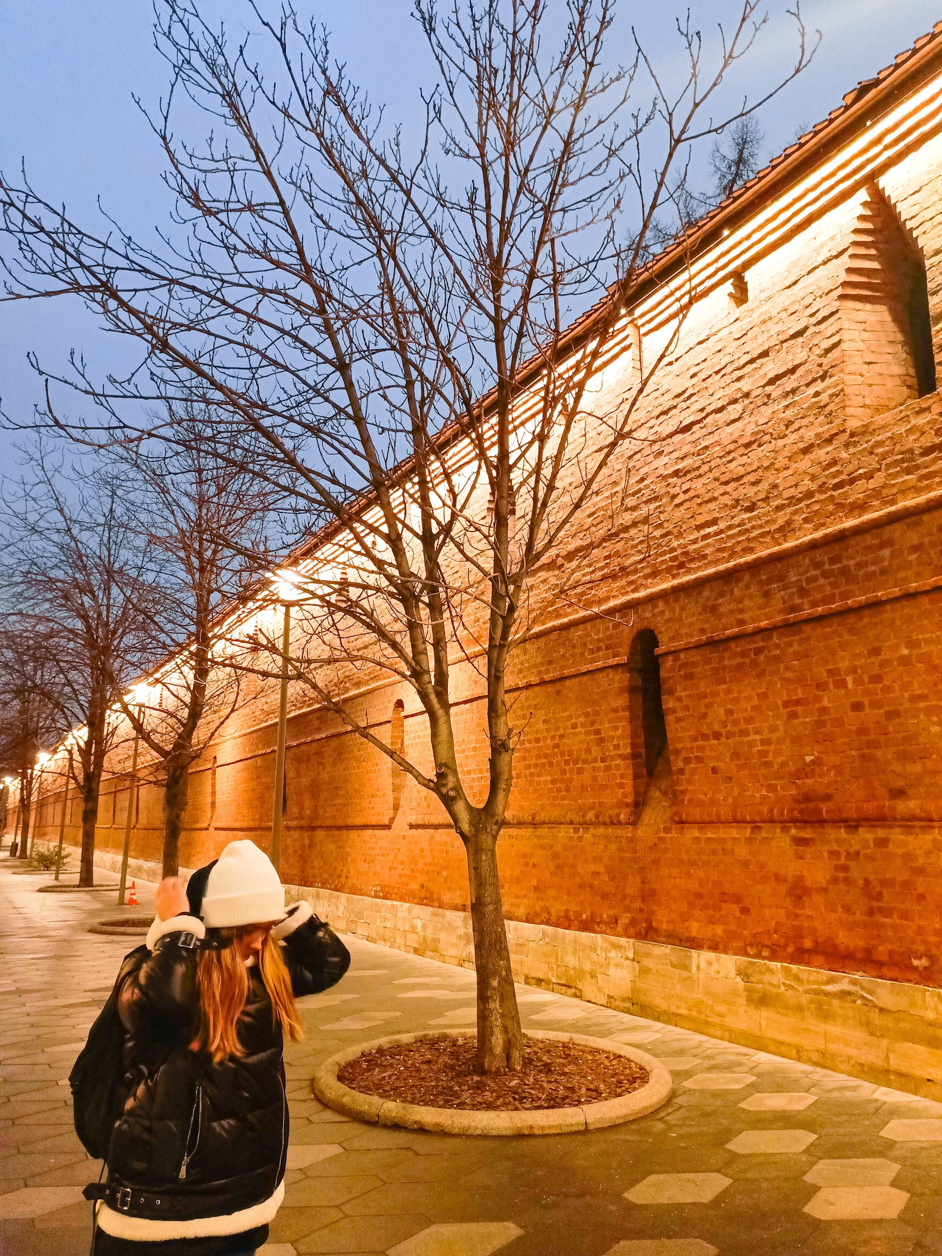 Видимость смысла