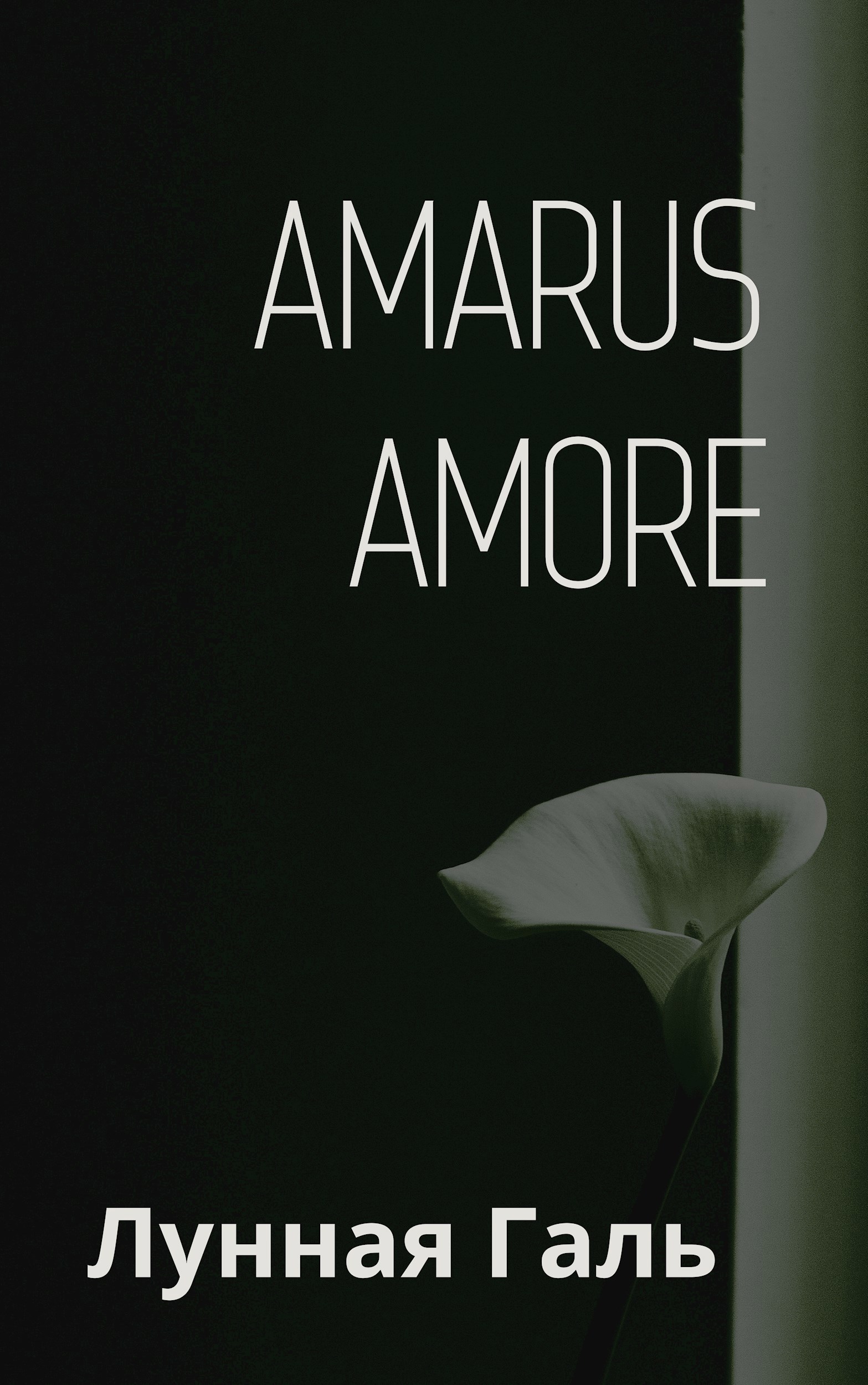 Amarus Amore