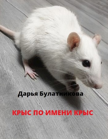 Крыс по имени Крыс