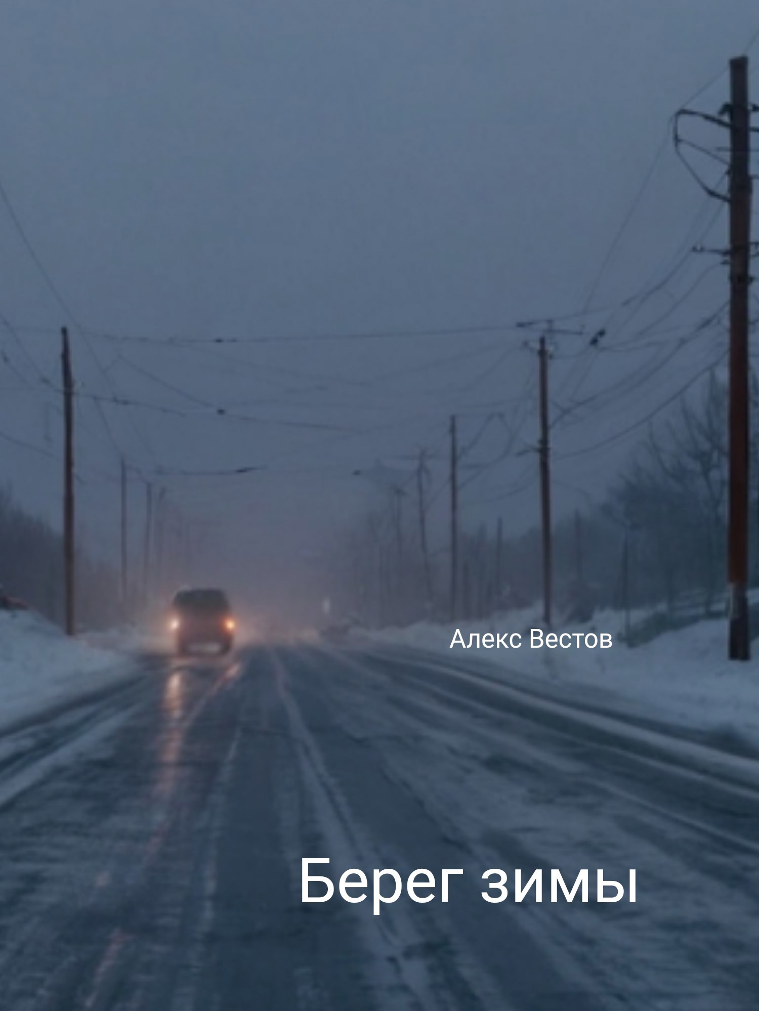 Берег зимы