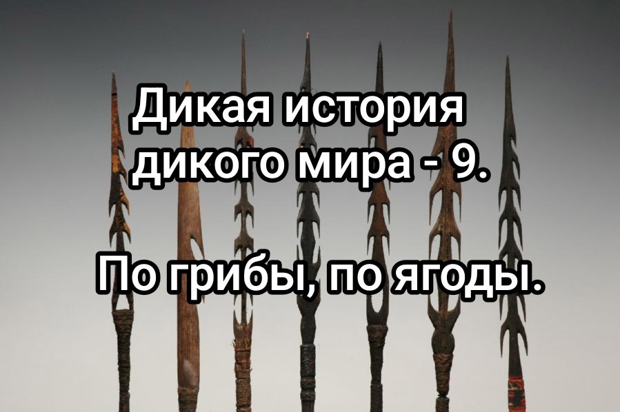 Дикая история дикого мира-9. По грибы, по ягоды.