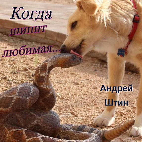 Когда шипит любимая...