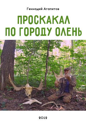 Проскакал по городу олень