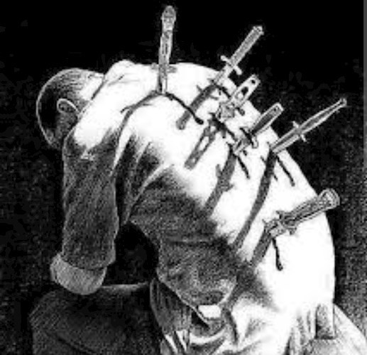 Новая жизнь