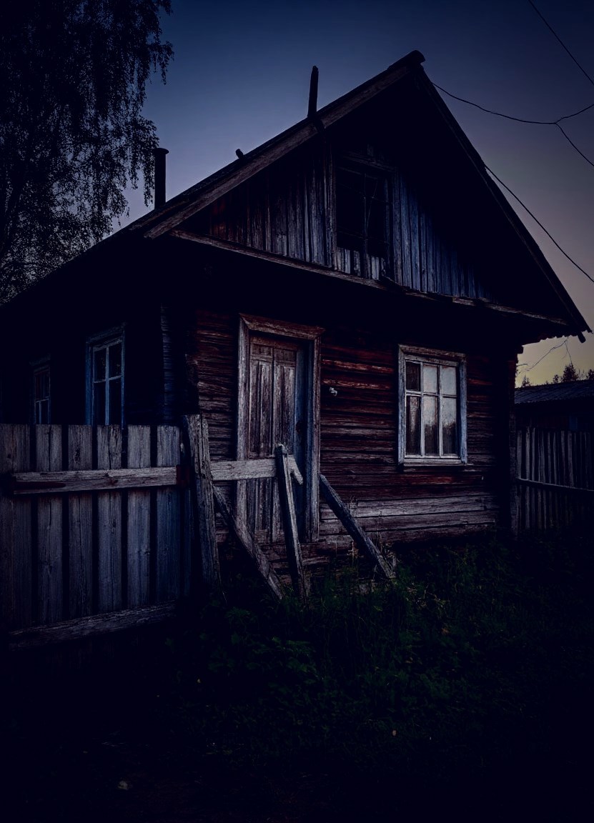 Отрывок из романа Тревожная командировка