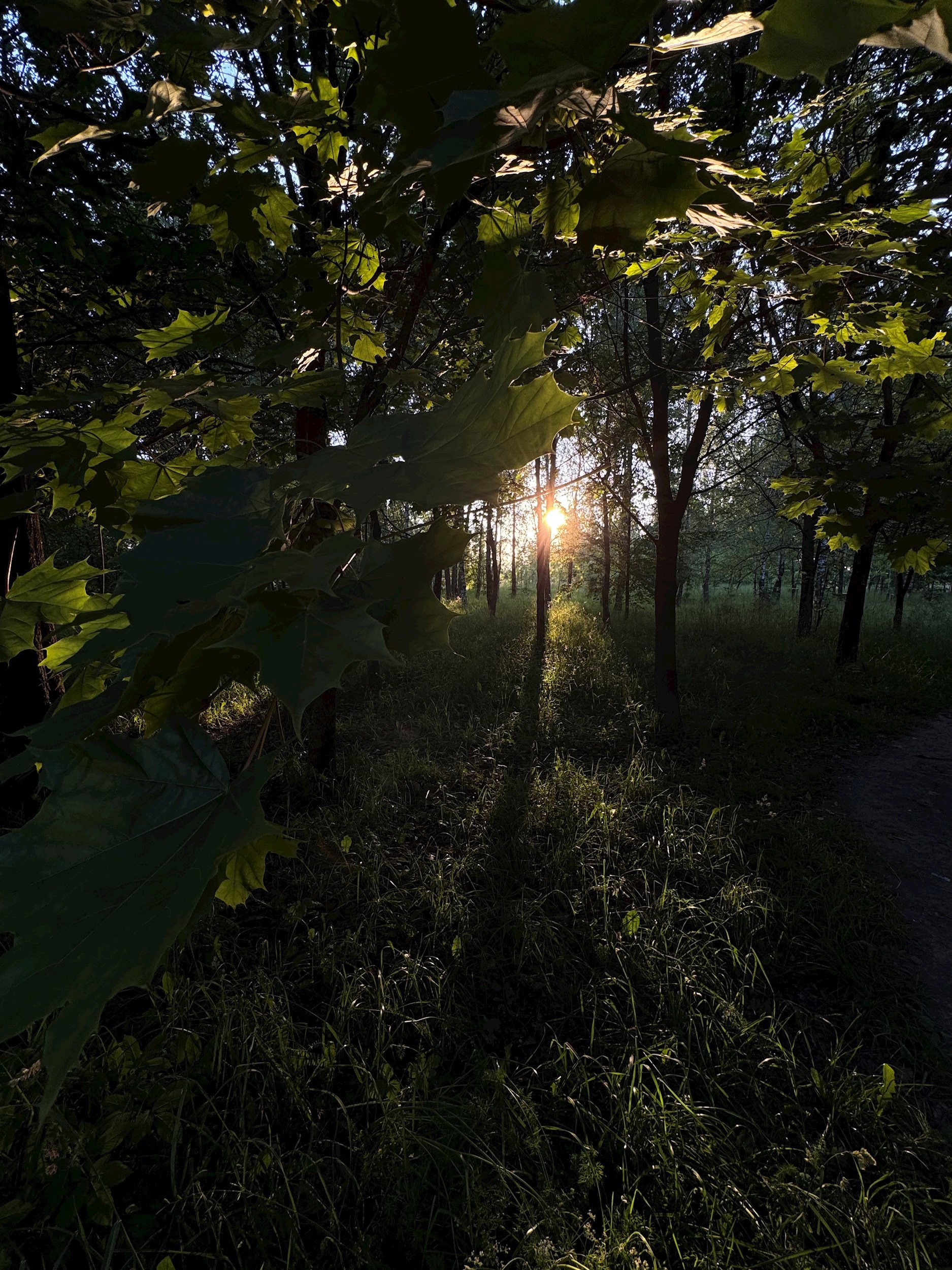 Я перестал о тебе думать