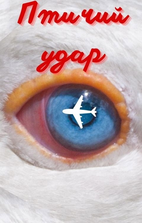 Птичий удар